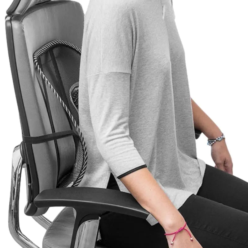 Ergonomix Lumbar Back Support Spine Posture