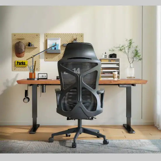 Ergonomix Office Chair